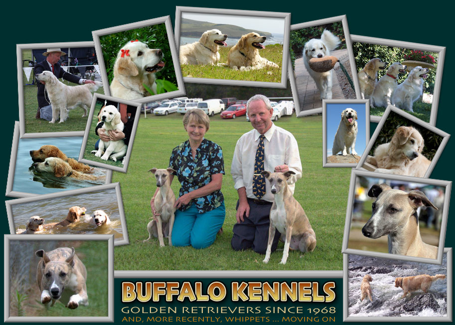 Buffalo Kennels